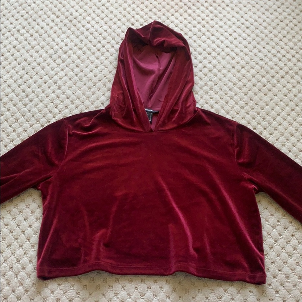 f21 velvet cropped sweater